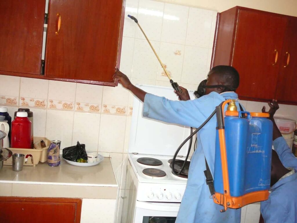 Pest Control Services in Nairobi Kenya